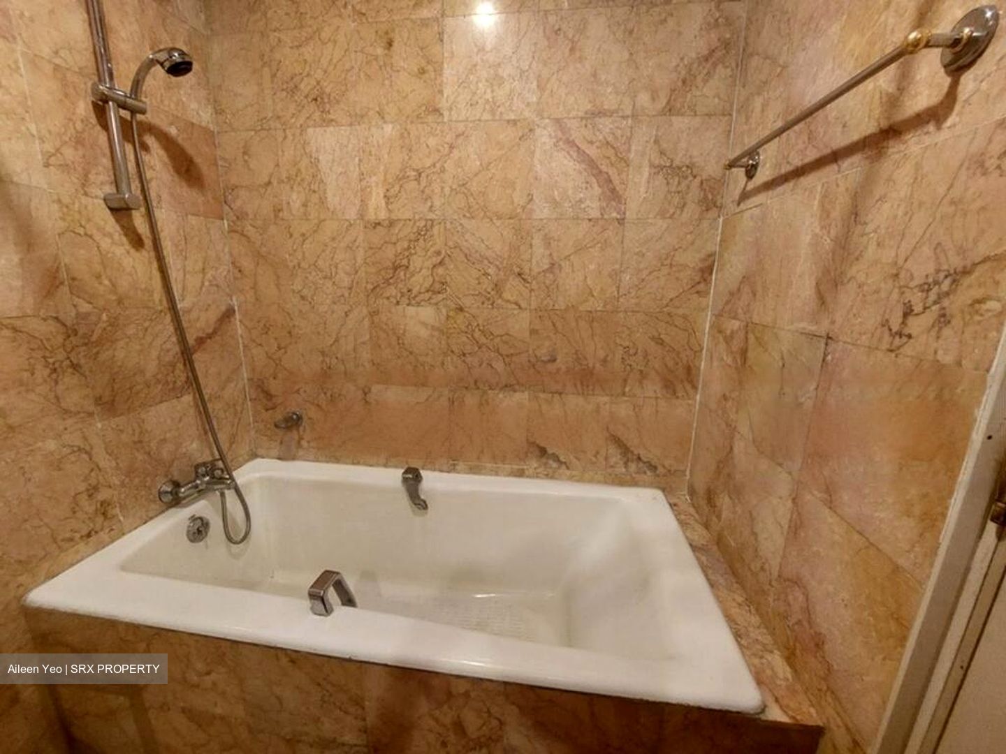 Nineteen Shelford Road (D11), Condominium #467701261